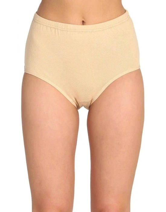 5 Adet Tutku Kadın Yüksek Bel Bato Kalın Lastik Külot S9
