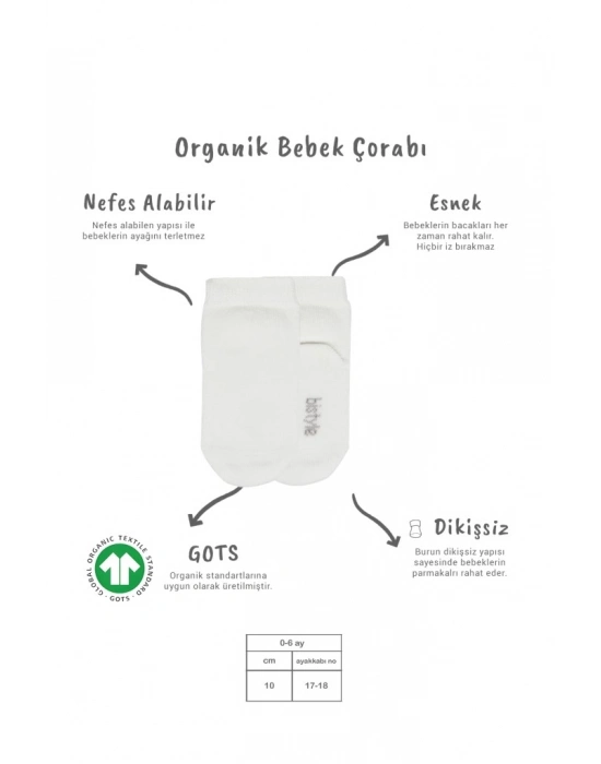 5li Penye Soket Kutulu Basic Çorap 10131 Ekru