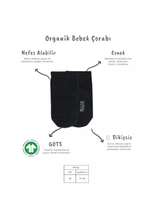 5li Penye Soket Kutulu Basic Çorap 10131 Gri