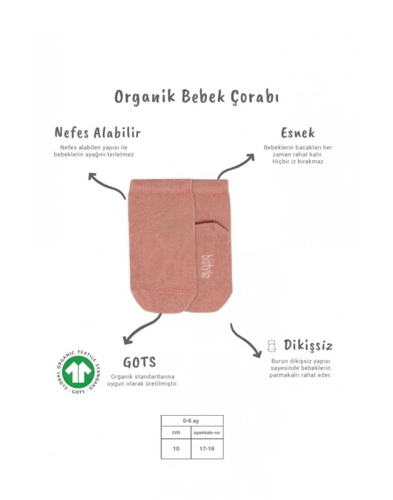®   5li Penye Soket Kutulu Basic Çorap 10131 Pudra