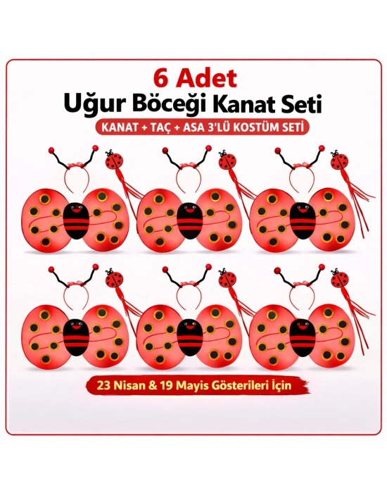 6'lı Uğur Böceği Kostüm Seti – Kanat Taç Asa