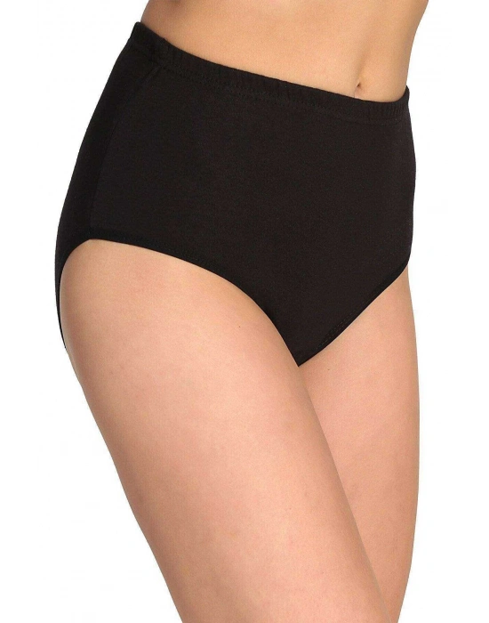 6 Adet Tutku Kadın Yüksek Bel Bato Kalın Lastik Külot S12