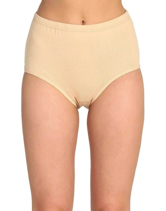 6 Adet Tutku Kadın Yüksek Bel Bato Kalın Lastik Külot S2