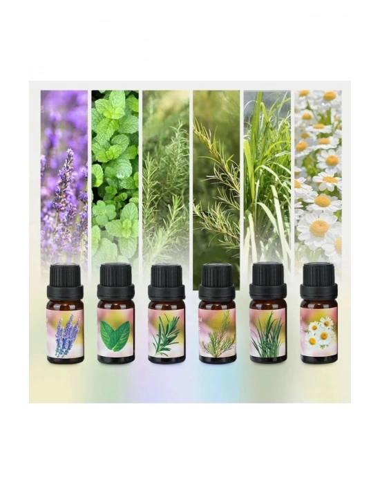 ® 6lı Ekonomi karışık SET Esansiyel Uçucu Yağı Buhardanlık Difüzör Esansı Oda Kokusu