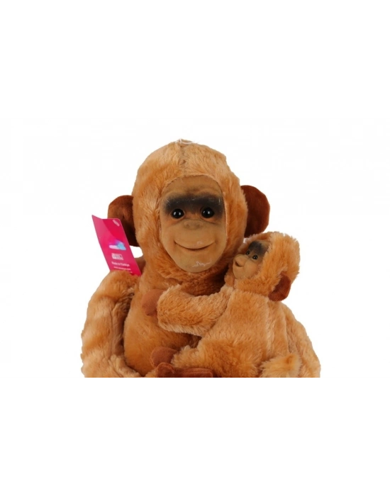 6899 YAVRULU MAYMUN SALAŞ 65 CM