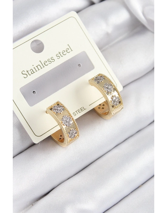 Bfs 316L Çelik Zirkon Taşlı Halka Model Gold Ve Gümüş Renk Kadın Küpe