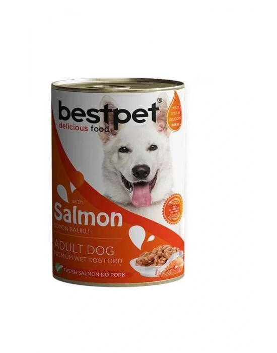 Bestpet Somonlu Jöleli Yetişkin Köpek Konservesi 400 Gr