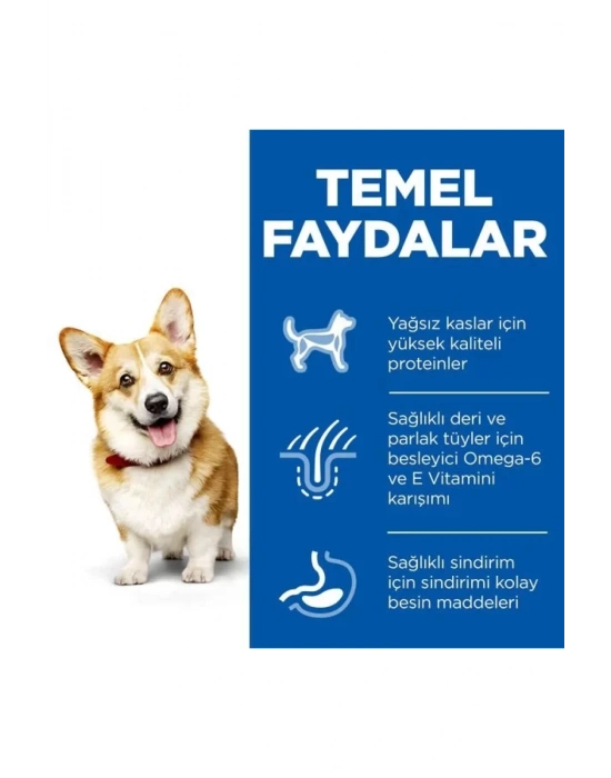 Hills Adult Small Mini Tavuklu Küçük Irk Köpek Maması 3 Kg