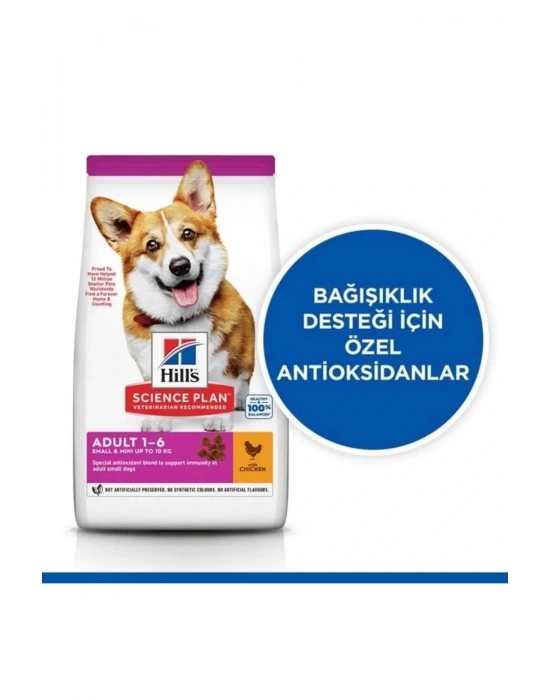 Hills Small & Mini Adult Tavuklu Köpek Maması 6 Kg