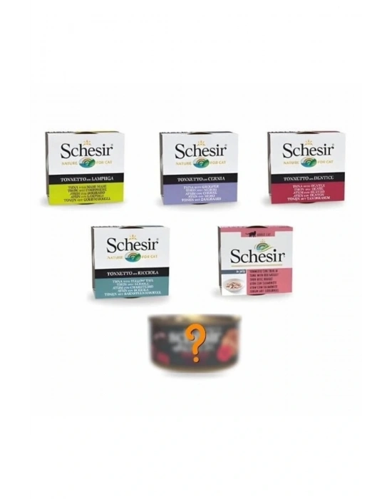 Schesir Klasik Lezzetler Yetişkin Konserve Kedi Maması 6 Al 5 Öde