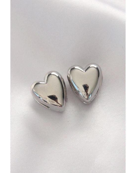 Bfs Pirinç Gümüş Renk Zirkon Taşlı Halka Model Kadın Küpe