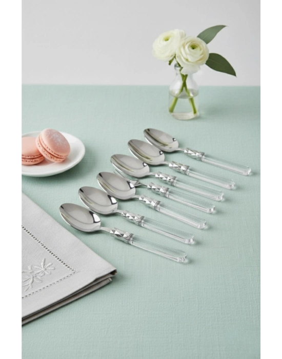 6’lı Paslanmaz Çelik Şeffaf Tatlı Kaşığı Seti