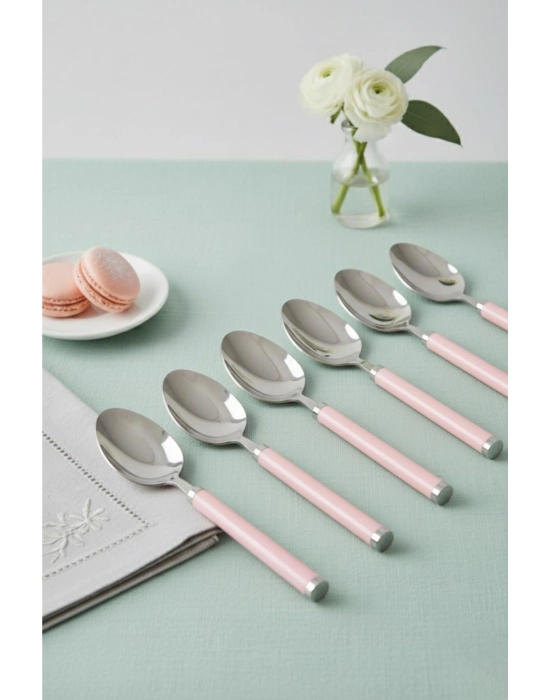 6’lı Paslanmaz Çelik Tatlı Kaşığı Seti Somon Pembe Saplı 15 cm