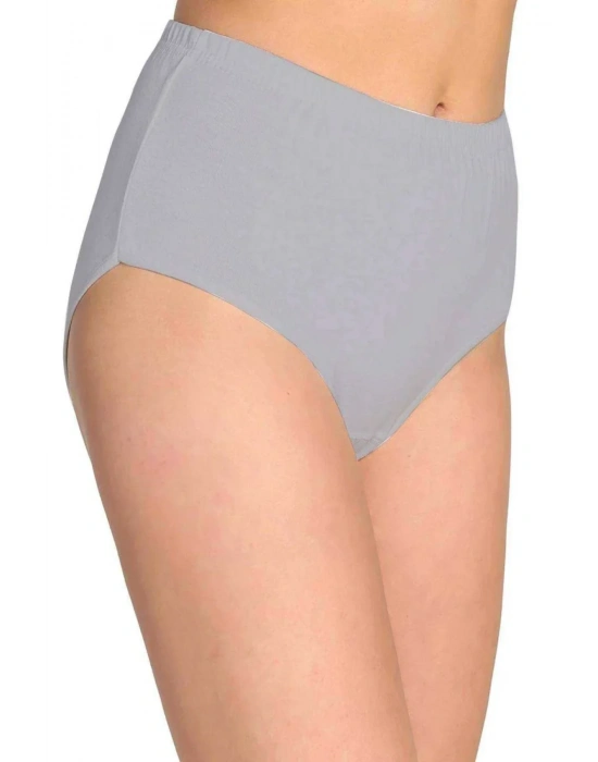 7 Adet Tutku Kadın Yüksek Bel Bato Kalın Lastik Külot S20