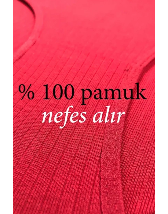 8 Adet Kadın Yüksek Bel Ribana Bato Külot S009