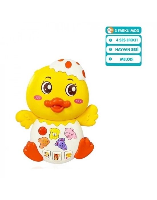 855-144A - ÖRDEK ORG IŞIKLI SESLİ