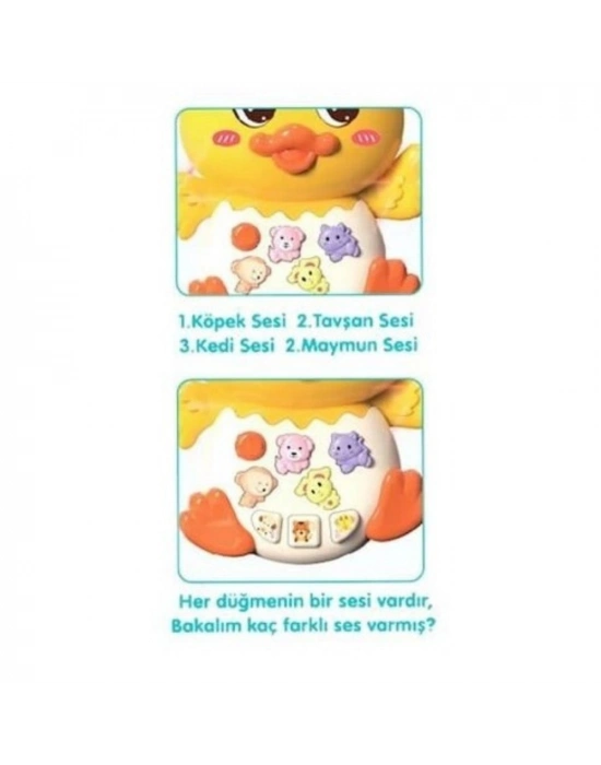 855-144A - ÖRDEK ORG IŞIKLI SESLİ