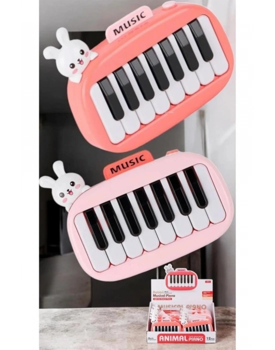 ® 8896-1B KUTUDA 12Lİ PİLLİ PİANO -CN