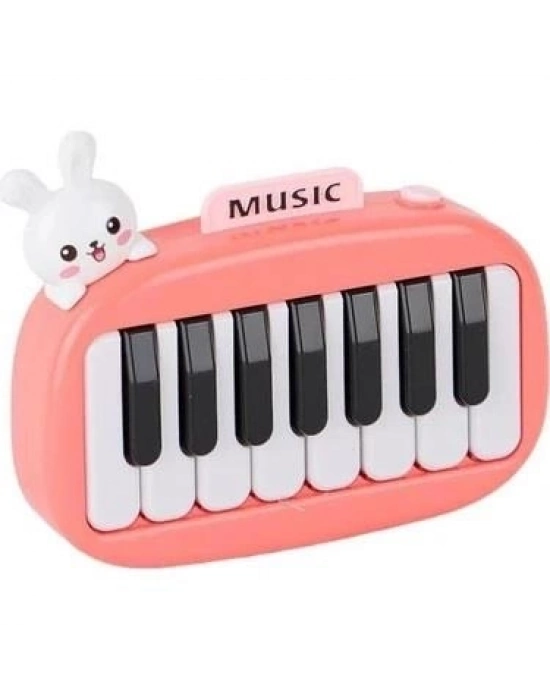 ® 8896-1B KUTUDA 12Lİ PİLLİ PİANO -CN