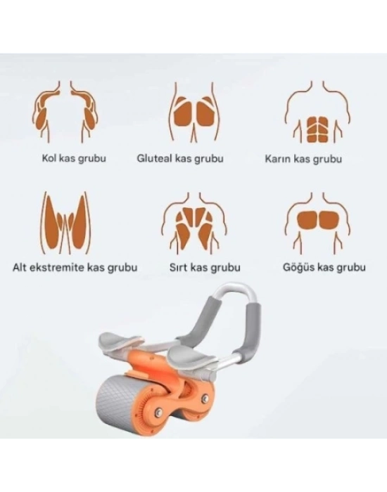 AB Roller Karın Kası Egzersiz Tekerleği