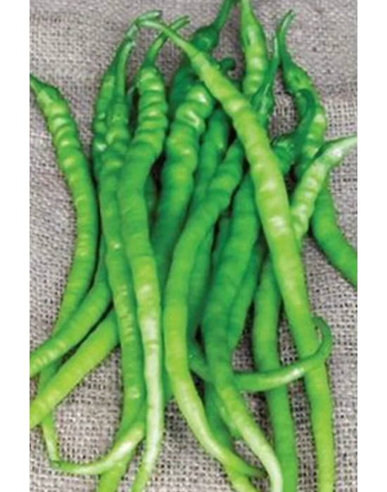 Acı Kıl Biber Tohumu 10 Gr