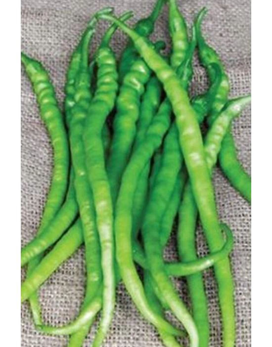 Acı Kıl Biber Tohumu 10 Gr