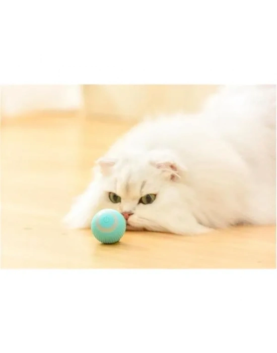 Akıllı İnteraktif Evcil Hayvan Oyuncağı