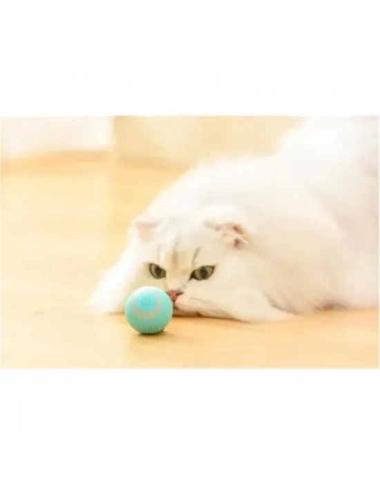 Akıllı İnteraktif Evcil Hayvan Oyuncağı