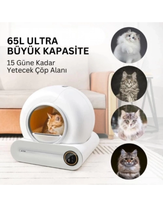 Akıllı Otomatik Kedi Tuvaleti
