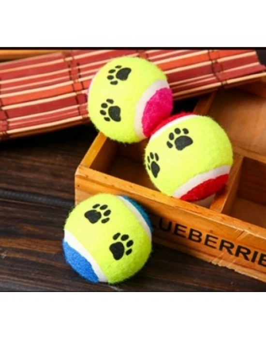 At Getir Köpek Eğitim Topu