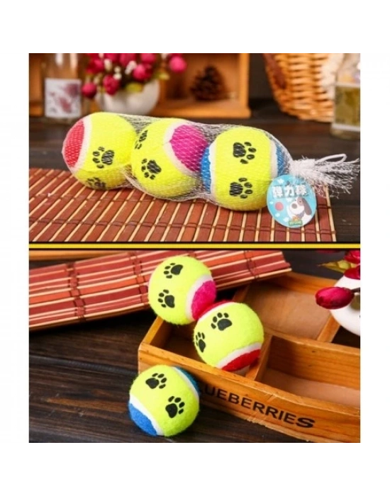 At Getir Köpek Eğitim Topu