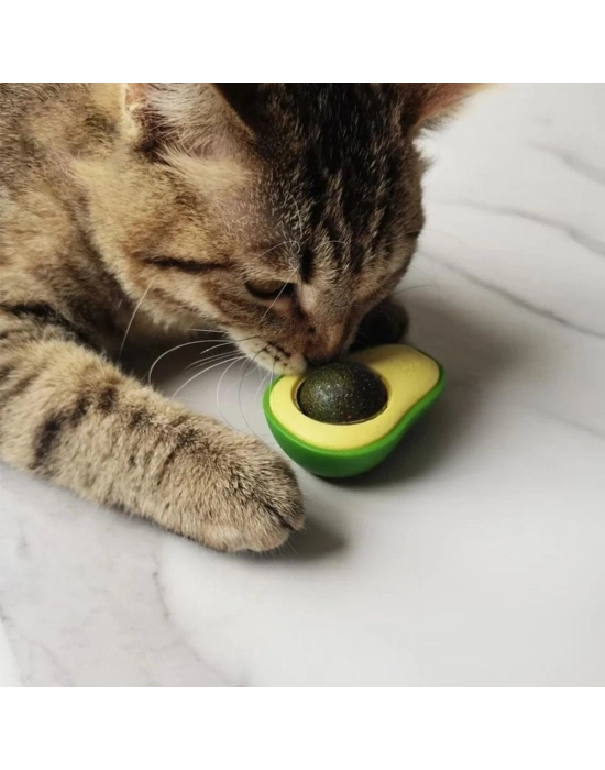 ®  Avokado Model Yapışkanlı Kedi Oyuncağı Yenilebilir Kedi Nanesi Otu