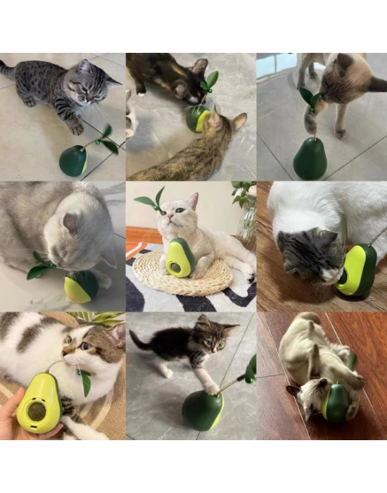 Avokado Şeklinde Kedi Naneli ve Mama Hazneli Kedi Oyuncağı