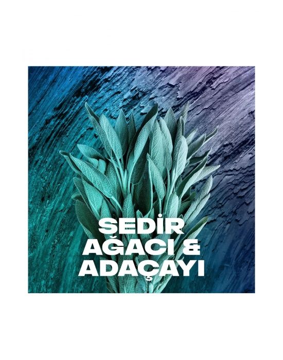 Axe Erkek Sprey Deodorant Apollo 48 Saat Etkileyici Koku Vücut Spreyi 150 ml