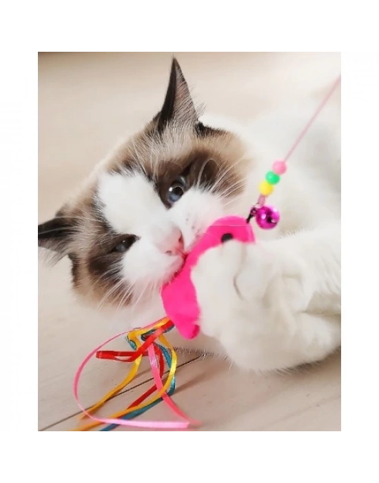 Balıklı Kedi Oyun Oltası