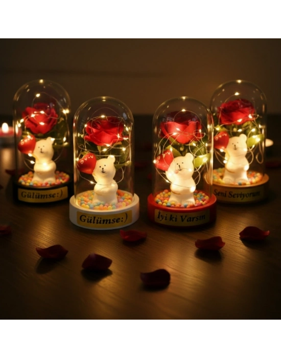 Balonlu Ayıcık Ledli Gül Fanus