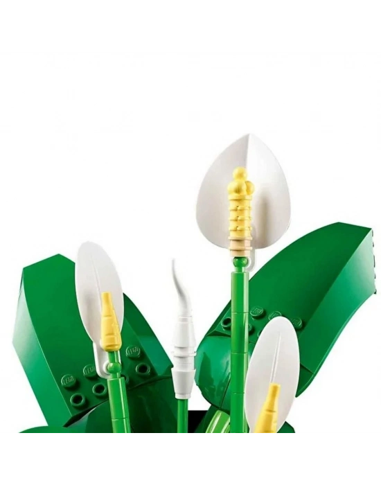 Barış Çiçeği 11504