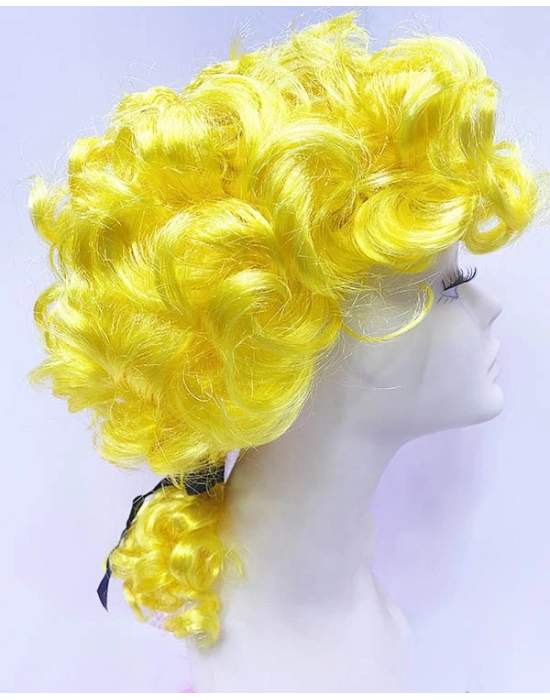 Barok Dönem Yargıç Peruğu