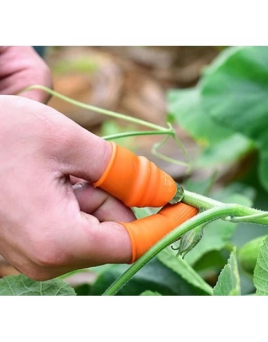 Baş Parmak Sebze Ayıklayıcı Set Kadın