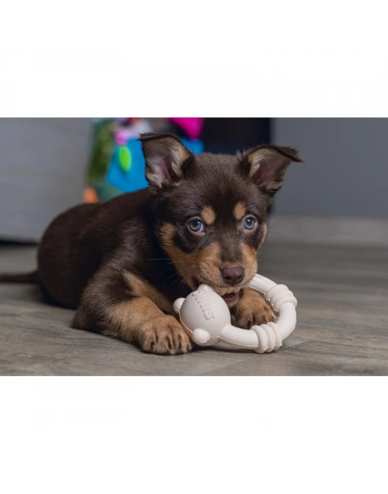 Beeztees Sumo Mını Dental Oyuncak Pembe 9,5x10,5 cm