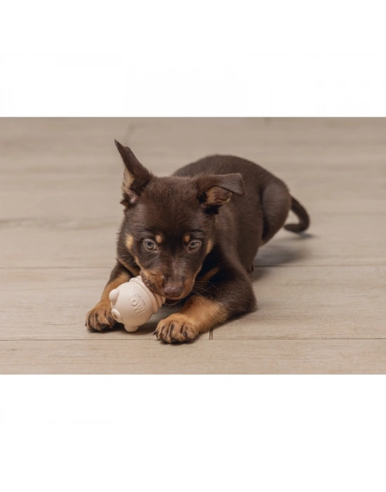 Beeztees Yavru Köpek Sumo Mını Dental Oyuncak Xs 3-6 kg