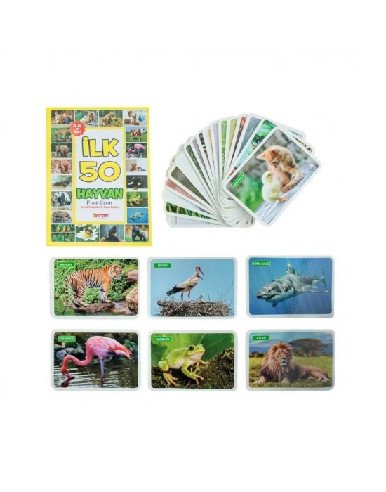 ®  1352FlashCardsİlk50Hayvan-Dıytoy