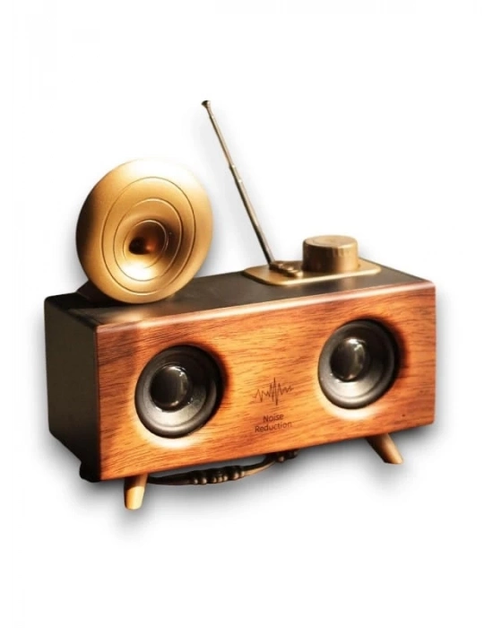 ® B6 SPEAKER HOPARLÖR