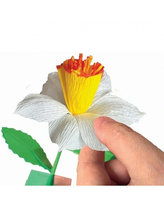 ® Çiçek Tasarıım Seti - Nergis