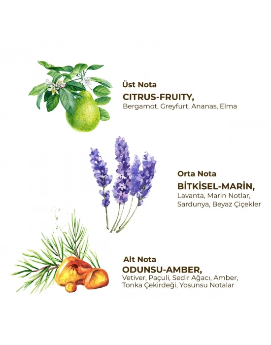 Erkek Roll On Deodorant 75 ml Active