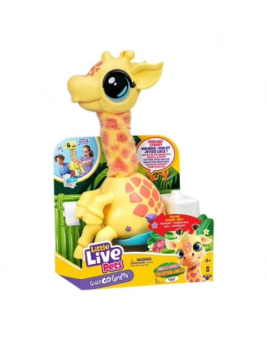 ® Dans Eden Zürafa