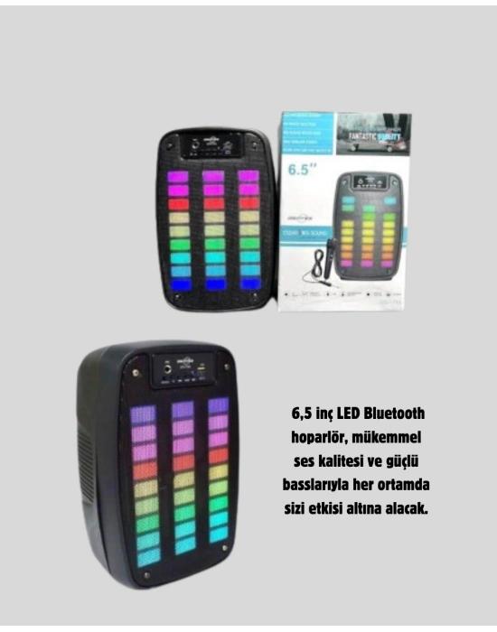 GTS 1793 Işıklı 6.5 İnç Kablosuz Hoparlör Bluetooth, USB ve FM Özellikli