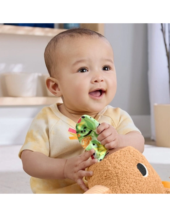 ® HYR54 F Yumuşak Kapibara