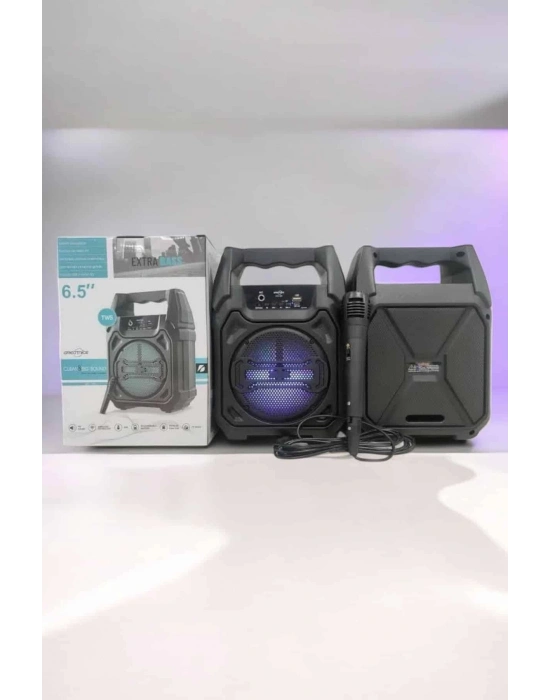 Kablosuz 6.5 İnç TWS Bluetooth Hoparlör