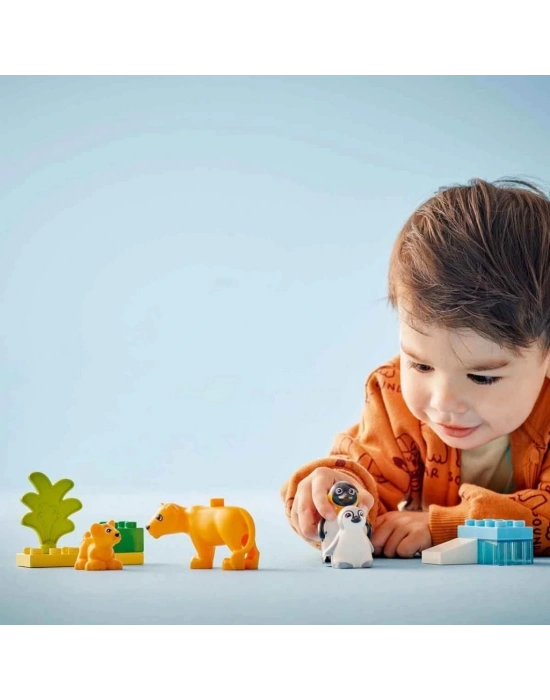 ®  Kasabası Vahşi Hayvan Aileleri: Penguenler ve Aslanlar 10442